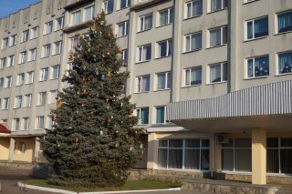 Новорічна ялинка вдень