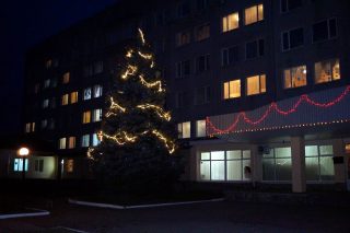 Новорічна ялинка ввечері