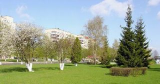 Участь працівників ВОДТМО у всеукраїнській толоці
