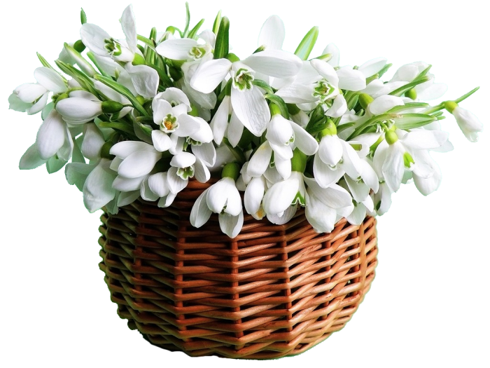 Вітаємо з святом 8 березня!