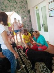 Освоюємо нові напрямки реабілітаційного лікування в санаторії для дітей з батьками «Дачний»