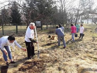 Волонтери “Volunteer Community” общини прогресивного іудаїзму у санаторії для дітей з батьками “Дачний”